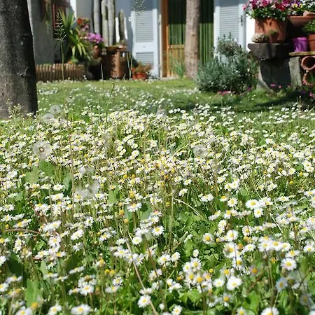 Nocleg ze śniadaniem Il Girasole
